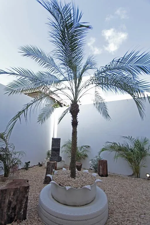 Apartments Tukano By 40 Cañones Mahahual México